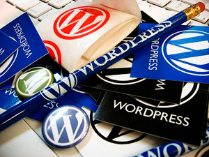 Wordpress Plugin vulnerability